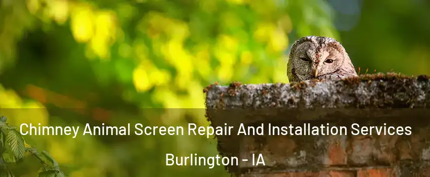  Chimney Animal Screen Repair And Installation Services Burlington - IA