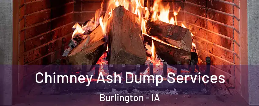  Chimney Ash Dump Services Burlington - IA