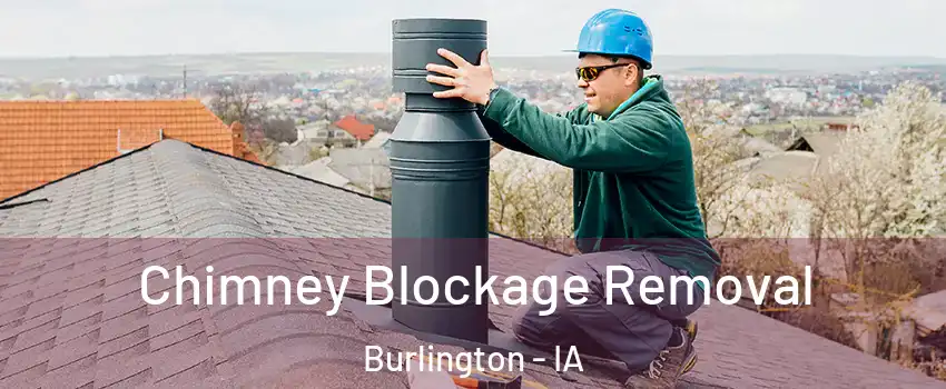  Chimney Blockage Removal Burlington - IA