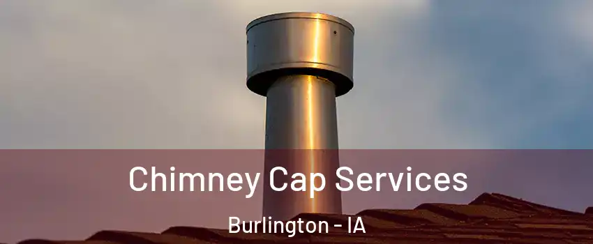  Chimney Cap Services Burlington - IA