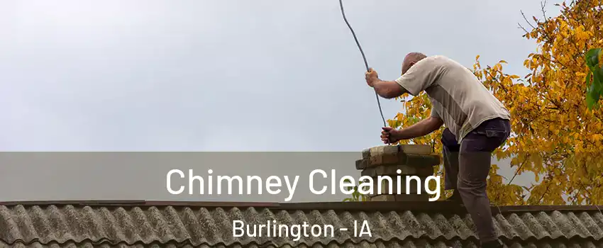  Chimney Cleaning Burlington - IA
