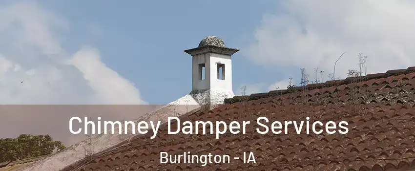  Chimney Damper Services Burlington - IA