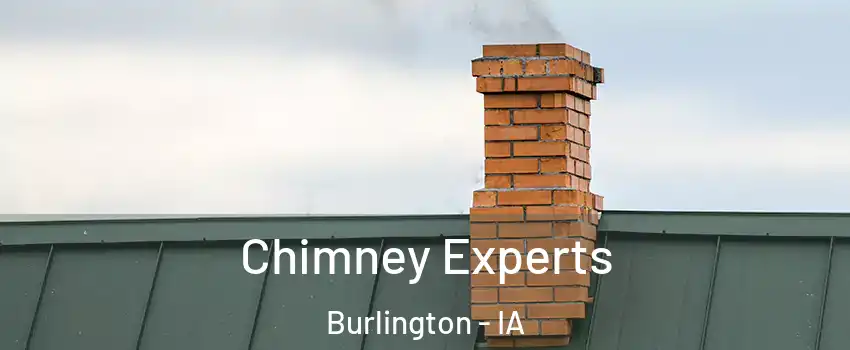  Chimney Experts Burlington - IA