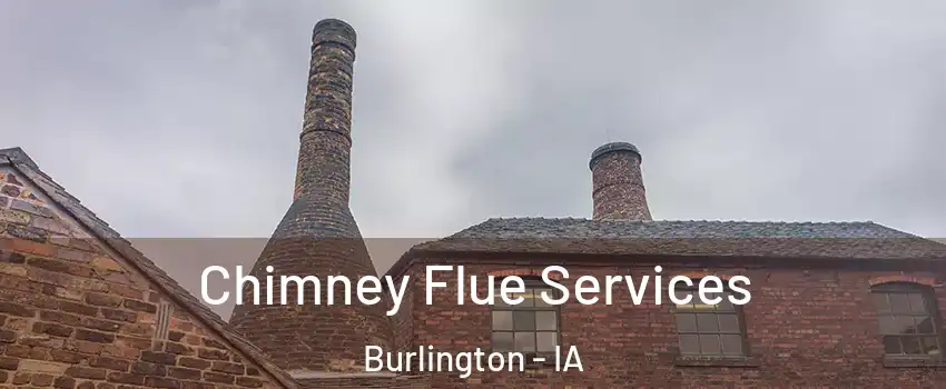  Chimney Flue Services Burlington - IA