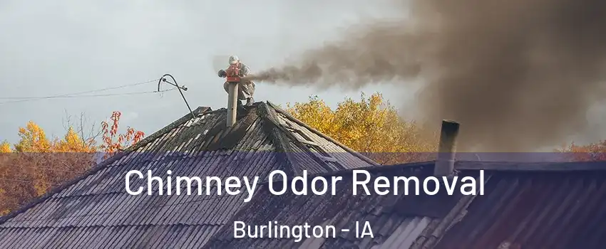  Chimney Odor Removal Burlington - IA