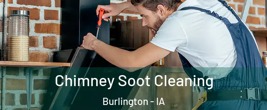  Chimney Soot Cleaning Burlington - IA