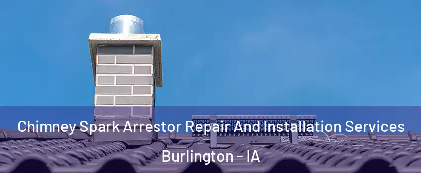  Chimney Spark Arrestor Repair And Installation Services Burlington - IA