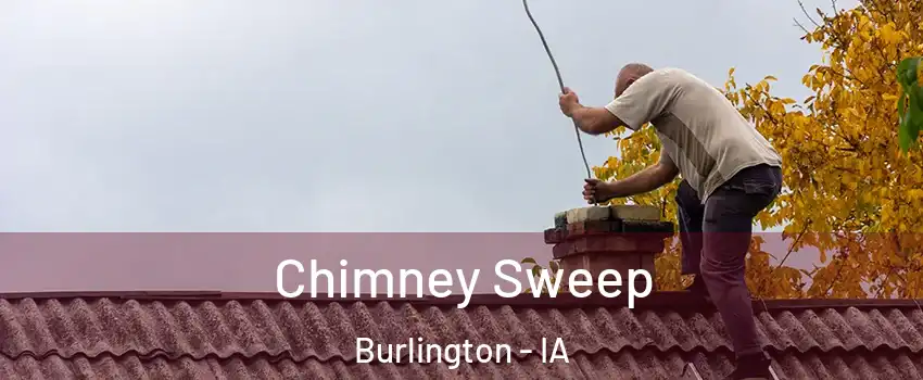  Chimney Sweep Burlington - IA