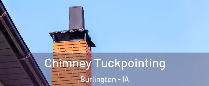  Chimney Tuckpointing Burlington - IA