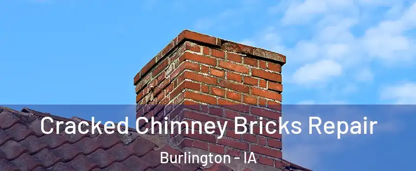  Cracked Chimney Bricks Repair Burlington - IA