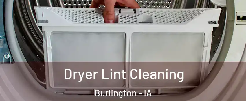  Dryer Lint Cleaning Burlington - IA