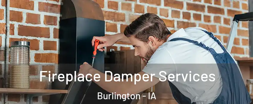  Fireplace Damper Services Burlington - IA