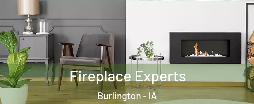  Fireplace Experts Burlington - IA