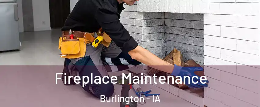  Fireplace Maintenance Burlington - IA