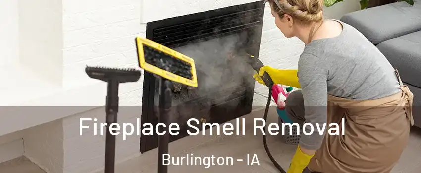  Fireplace Smell Removal Burlington - IA