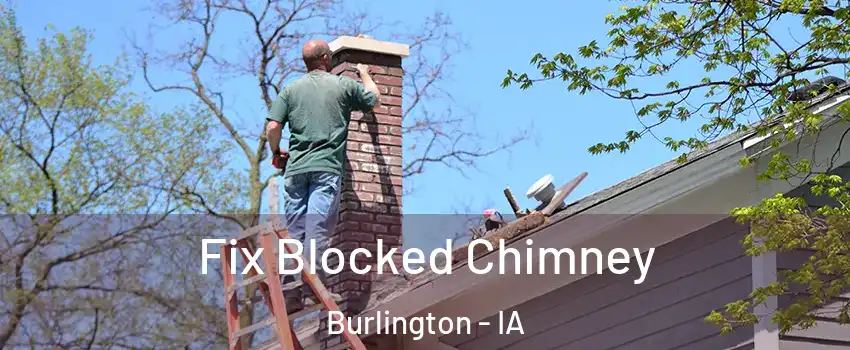  Fix Blocked Chimney Burlington - IA