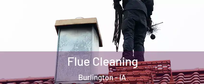 Flue Cleaning Burlington - IA