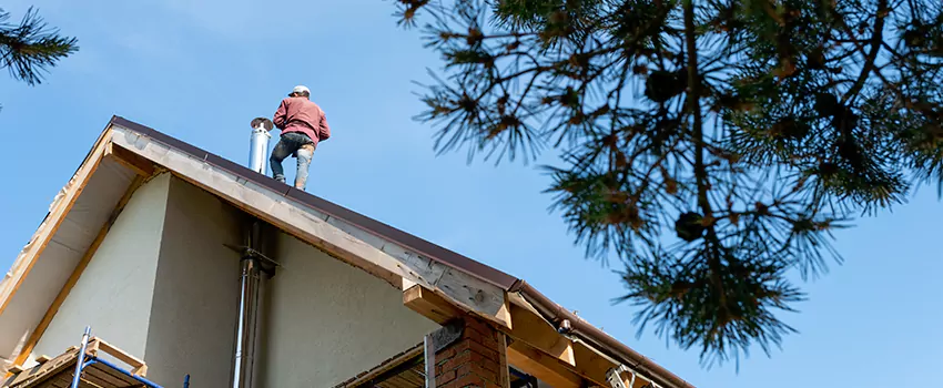 Birds Removal Contractors from Chimney in Burlington, IA