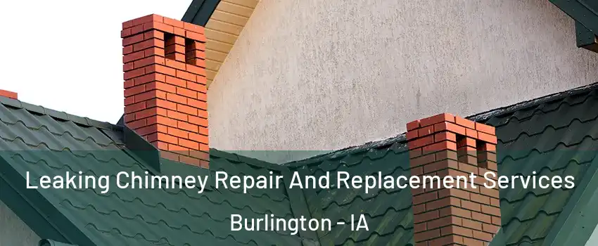  Leaking Chimney Repair And Replacement Services Burlington - IA