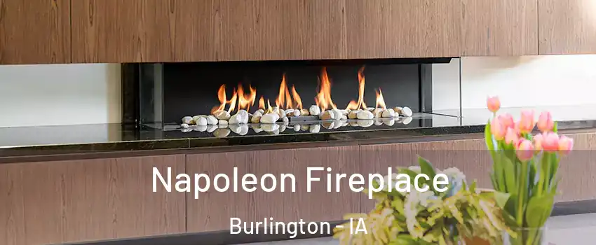  Napoleon Fireplace Burlington - IA